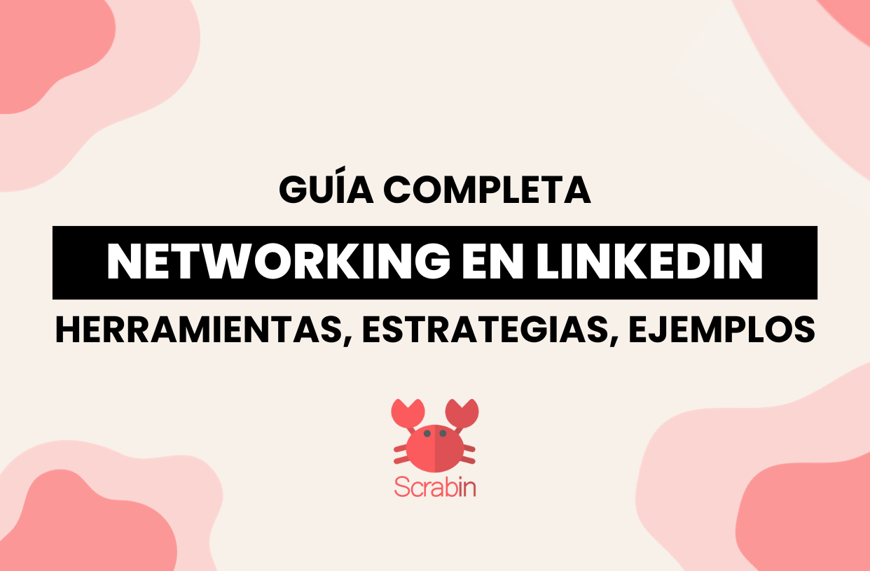 networking profesional